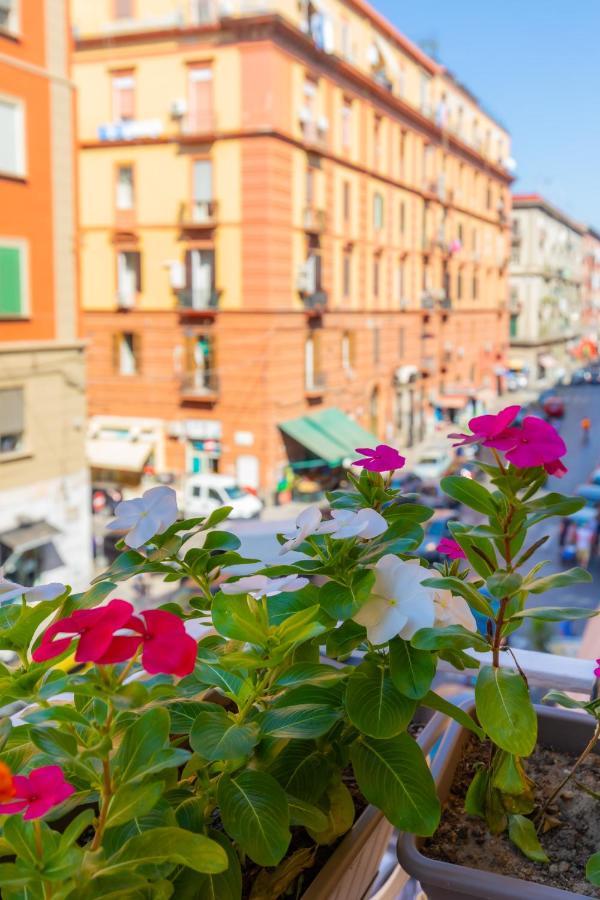 Le Meraviglie Di Napoli Bagian luar foto