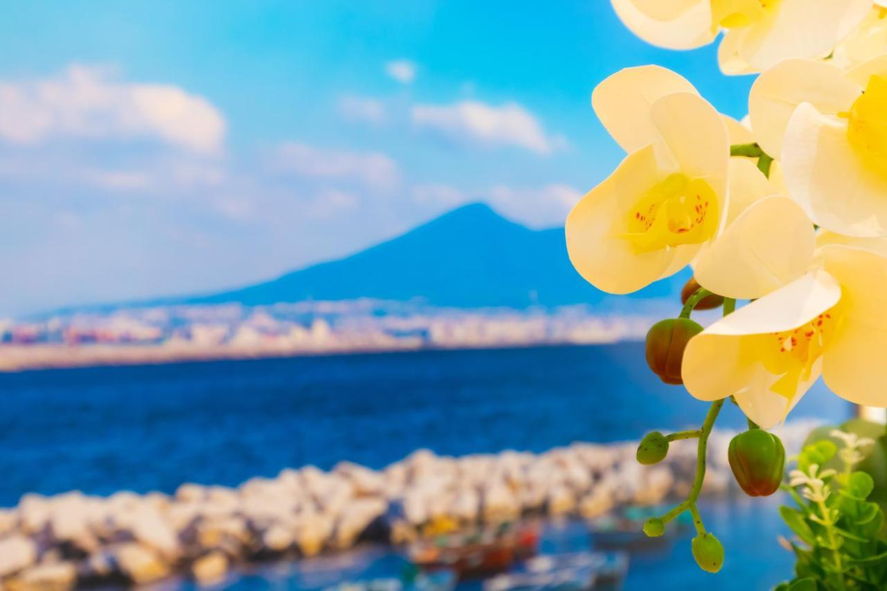 Le Meraviglie Di Napoli Bagian luar foto